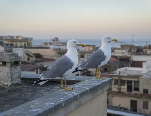 Gabbiani sul tetto: perché scelgono il tuo edificio e come allontanarli