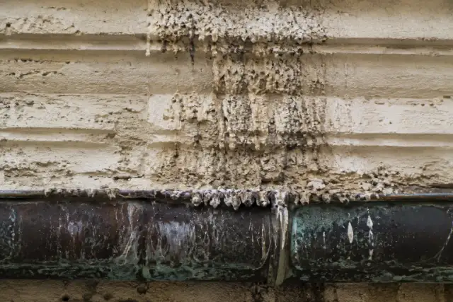 Cornicione in pietra con guano e degrado della superficie lapidea e della lattoneria