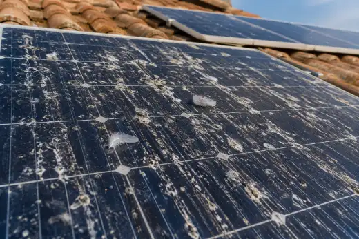 Superficie di moduli fotovoltaici coperta da numerose macchie bianche di guano essiccato