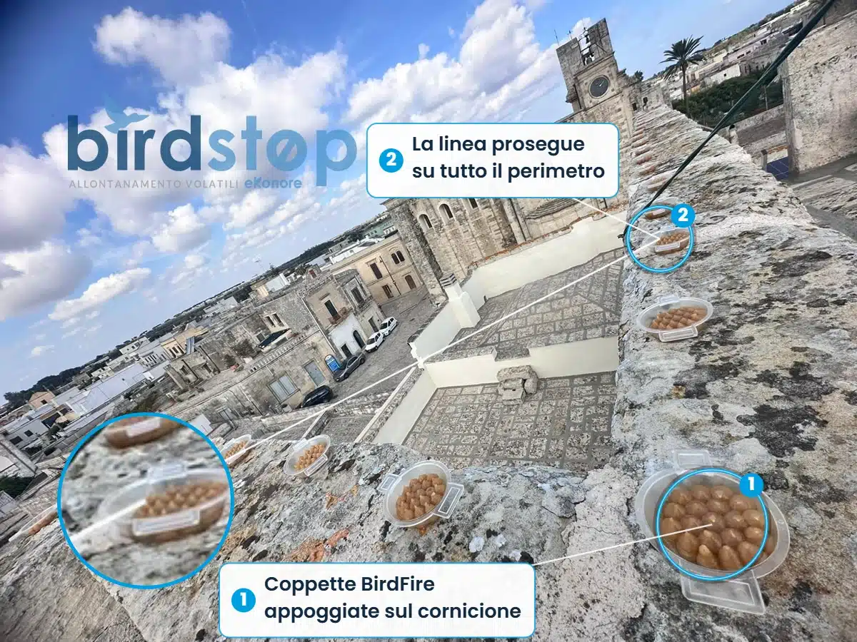 Infografica: le coppette BirdFire appoggiate sul cornicione del palazzo storico di Minervino di Lecce, allineate lungo tutto il perimetro