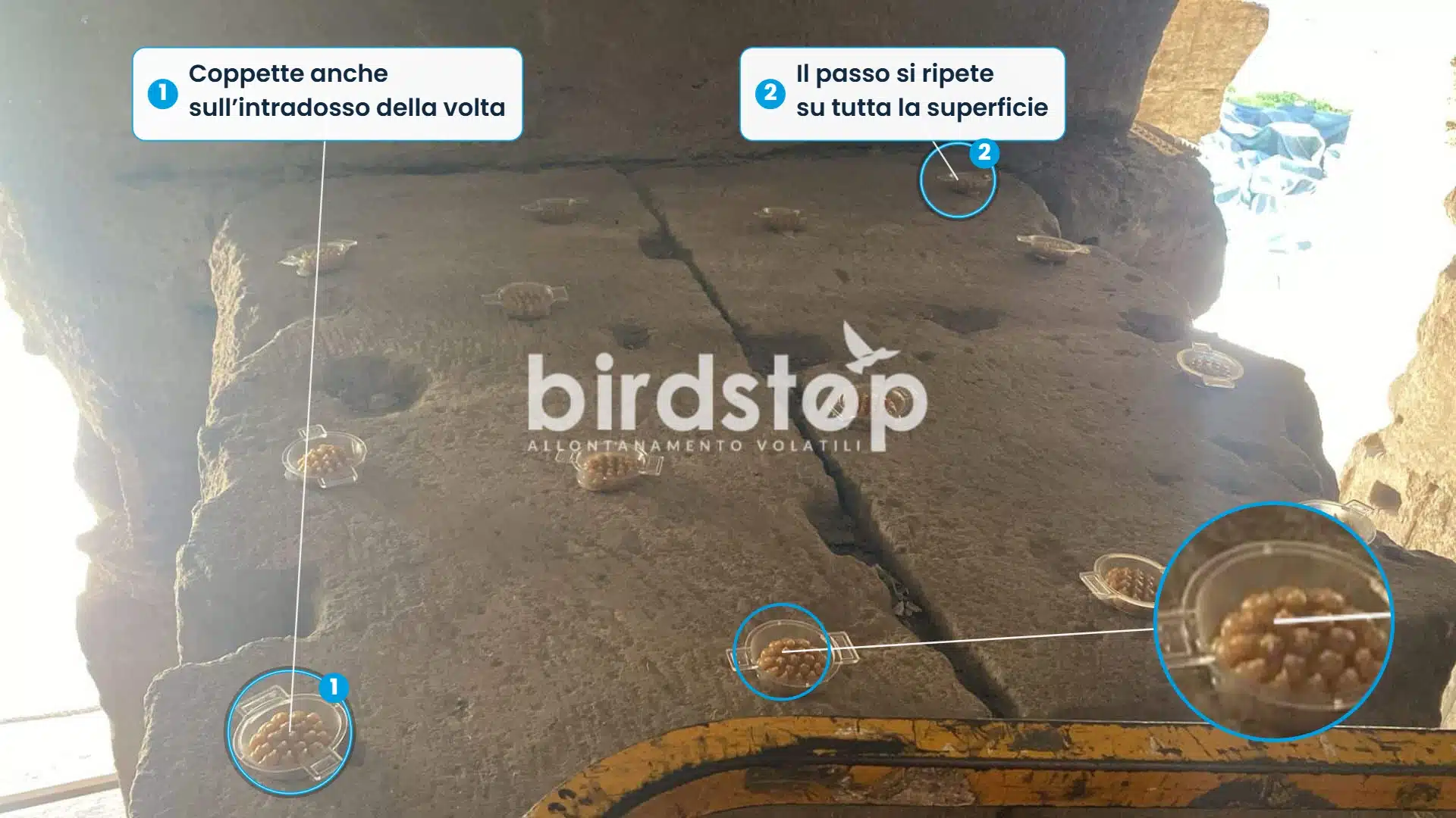 Infografica: le coppette BirdFire distribuite sull’intradosso della volta del Teatro di Marcello, con il dettaglio ingrandito di una coppetta