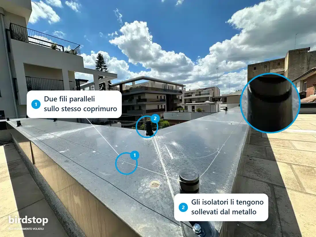 Infografica: la doppia linea di filo FlyAway sul coprimuro del parapetto della villa di Altamura, con gli isolatori che la tengono sollevata dal metallo