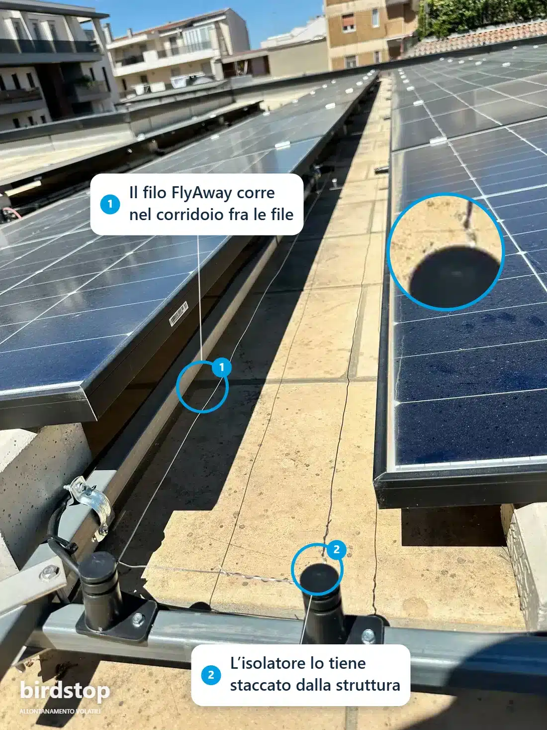 Infografica annotata del filo FlyAway teso nel corridoio fra due file di moduli, con isolatore ancorato alla struttura
