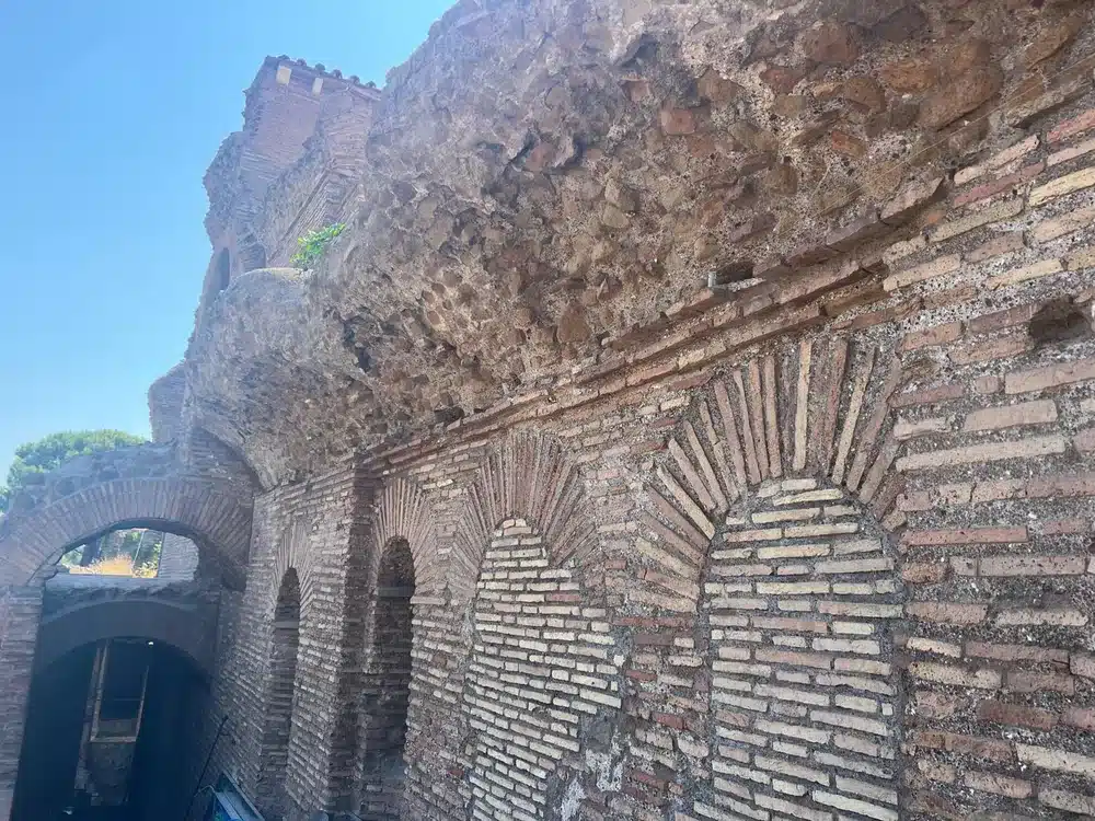 Prospetto esterno delle Mura Aureliane con archi ciechi protetto dalla dissuasione volatili