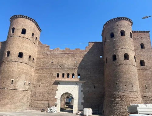 Caso Studio Allontanamento Piccioni a Porta Asinaria e Mura Aureliane di Roma