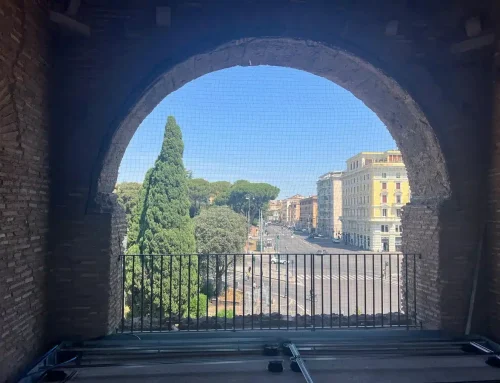 Rete Antipiccione o Dissuasori? La Guida per Scegliere