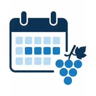 Calendario di una cantina con la finestra di intervento segnata prima della vendemmia
