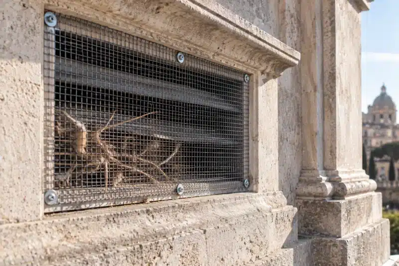 Rete appena tesa su un'apertura di ventilazione in pietra, con i rametti di un nido rimasto chiuso dietro