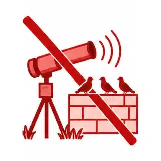 Illustrazione barrata: un cannone a gas nel piazzale e gli uccelli che restano posati poco più in là