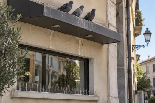 Dissuasori installati sul davanzale mentre alcuni piccioni stazionano sulla pensilina sovrastante