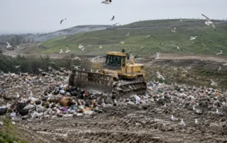 Fronte di scarico attivo di una discarica con un compattatore cingolato al lavoro sul cumulo di rifiuti e decine di gabbiani reali in volo e posati intorno al mezzo