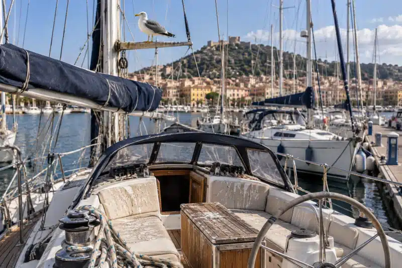 Pozzetto di una barca a vela con tavolo in teak e cuscini chiari macchiati, e un gabbiano posato sulla crocetta dell’albero