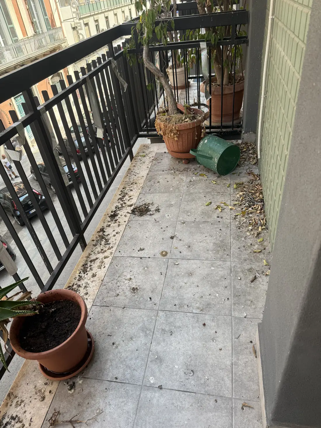 Il balcone prima della bonifica: guano, piume e detriti accumulati lungo la ringhiera