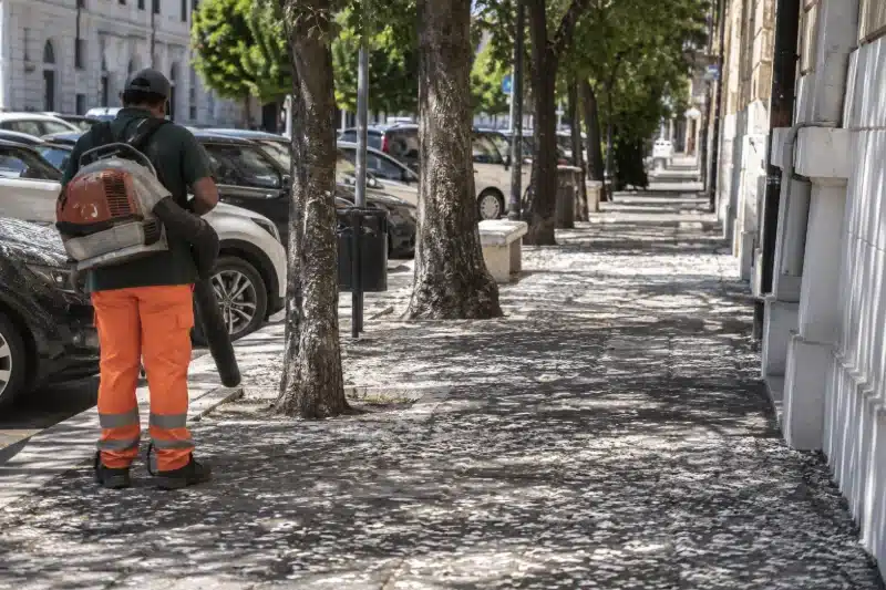 Operatore con un dispositivo in spalla sotto un viale alberato vuoto in pieno giorno, con il marciapiede bianco di guano