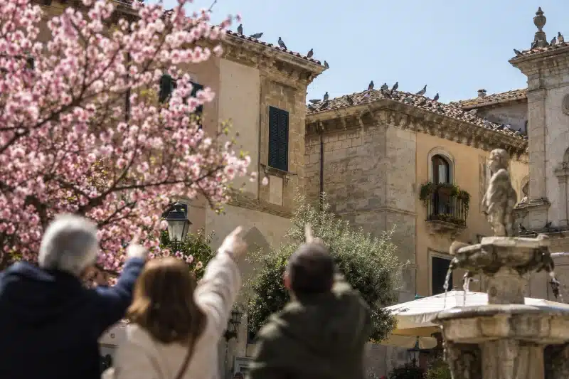 Cittadini che indicano i piccioni sui tetti di una piazza, sotto un albero in fiore