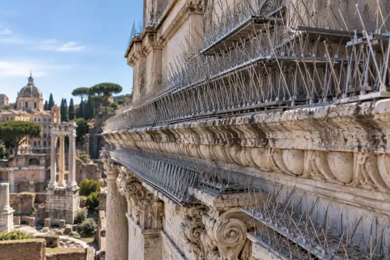 Cornicione monumentale ricoperto da file continue di dissuasori ad aghi