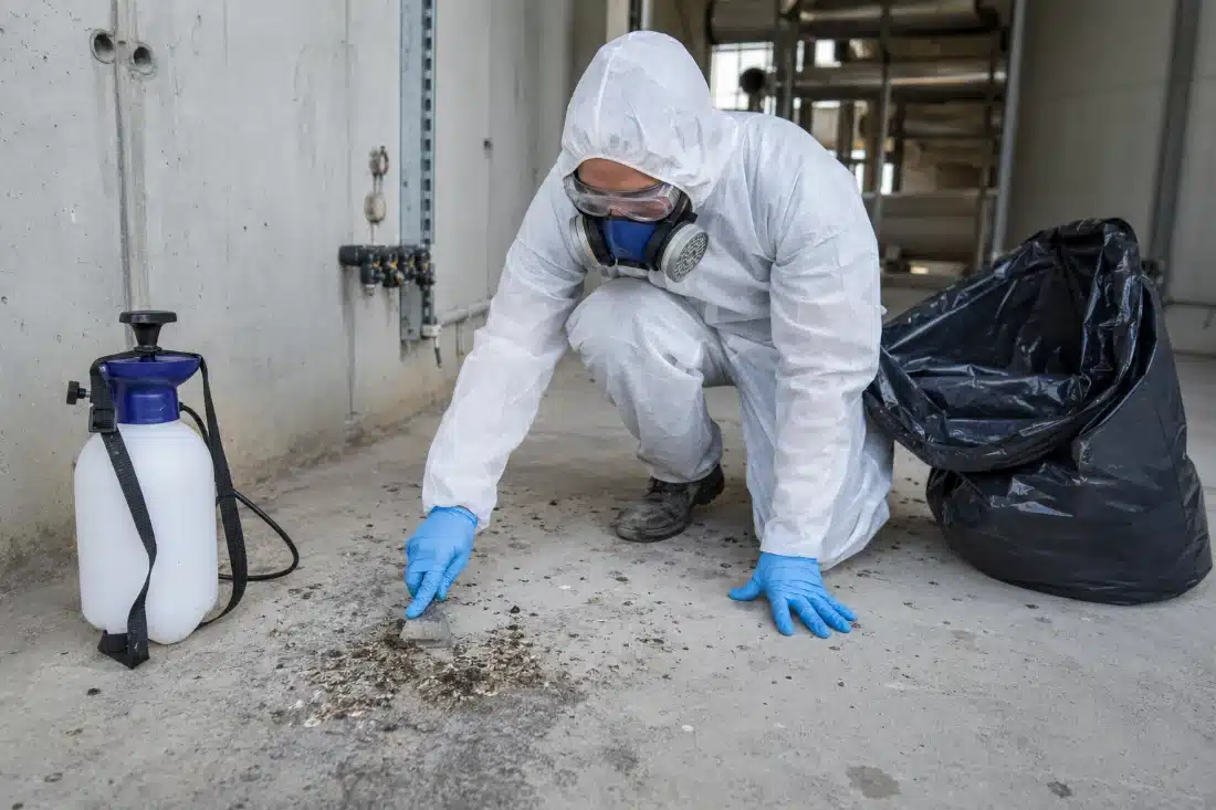 Operatore in tuta monouso e semimaschera durante la rimozione di guano in un locale tecnico