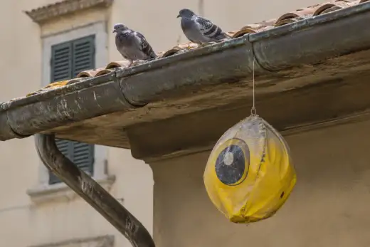 Pallone dissuasore giallo con l’occhio dipinto, sgonfio e impolverato, appeso sotto la gronda di un edificio