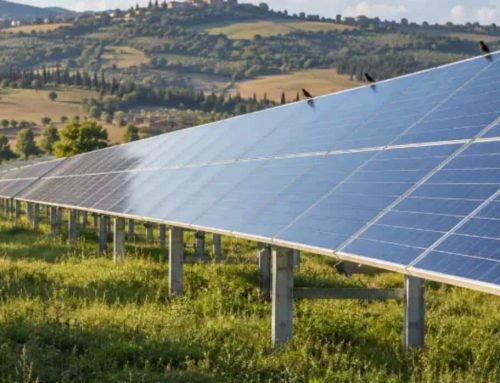 Uccelli sul fotovoltaico a terra: guano, nidi e produzione persa