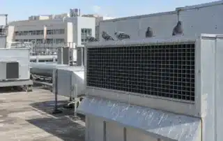 Griglia di aspirazione di un&rsquo;unit&agrave; di trattamento aria sulla copertura piana di un edificio, con una fila di piccioni posati sul bordo superiore e colature di guano sulla lamiera zincata