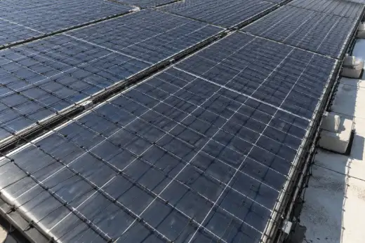 Rete anti volatili nera appoggiata direttamente sopra i moduli fotovoltaici di una copertura piana industriale