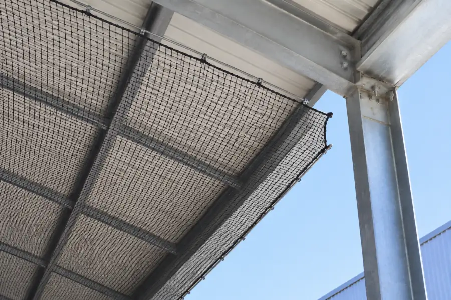 Rete anti-volatili tesa sotto una copertura, con un varco aperto nell’angolo in alto dove la rete non arriva alla trave