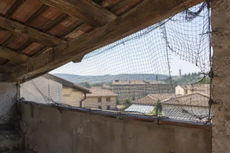 Rete anti-volatili montata male sotto una tettoia, allentata e con varchi negli angoli