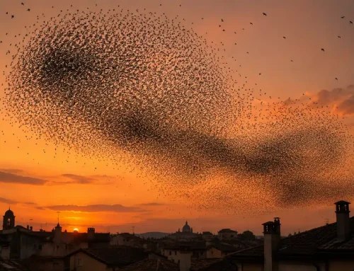 Storni sugli alberi di città: cosa può fare un Comune, e in che mesi