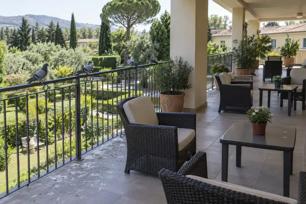 Terrazza coperta di una residenza per anziani con ringhiera metallica, poltroncine vuote e guano sul pavimento vicino alla ringhiera