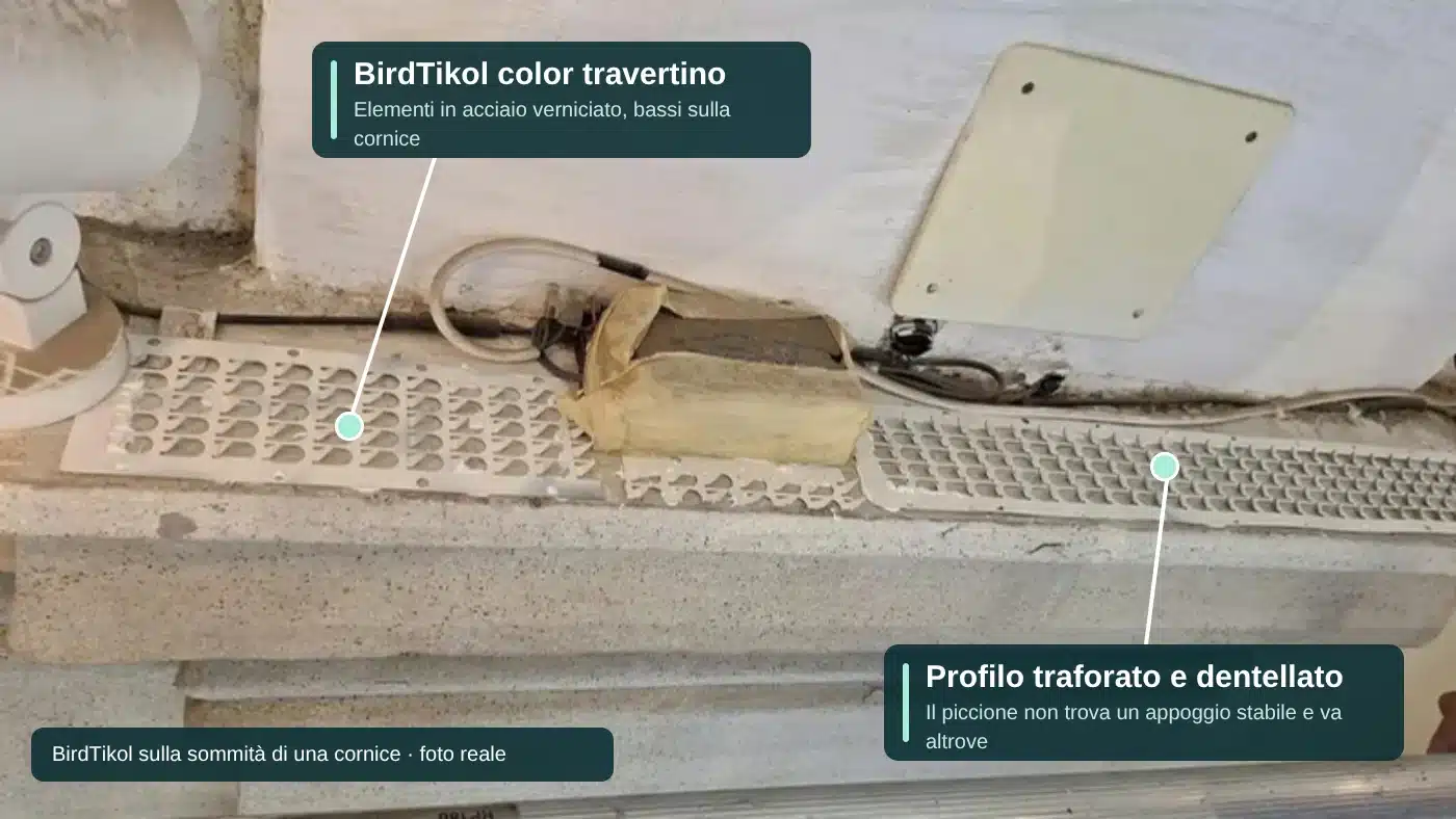BirdTikol color travertino sulla sommità di una cornice di Palazzo Chigi