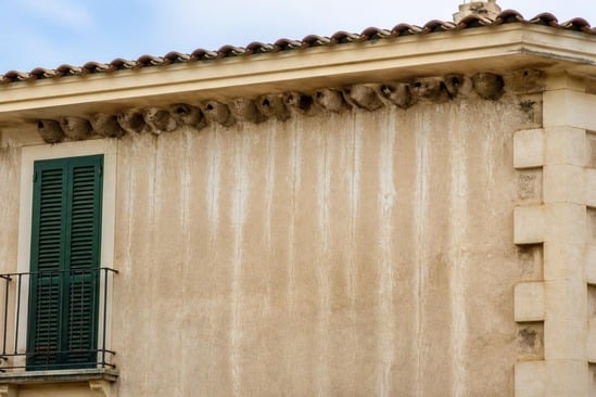 Colonia di nidi di fango di balestrucci sotto la gronda di una facciata, con colature di guano sul muro (immagine illustrativa generata al computer)