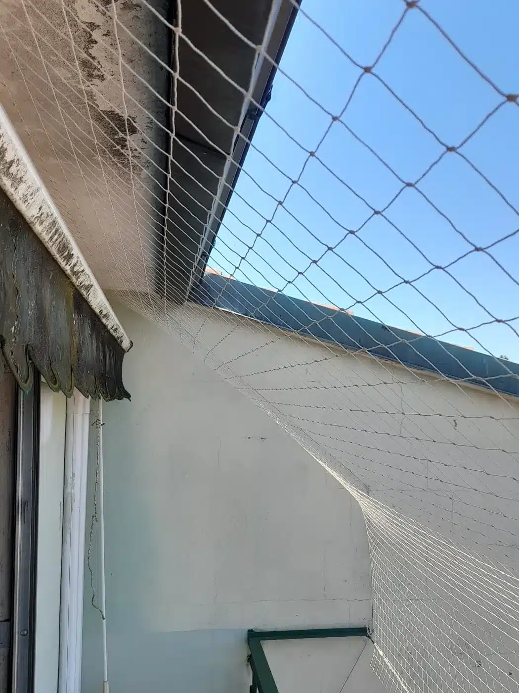 Rete anti piccioni tesa dal sottotetto alla ringhiera di un balcone